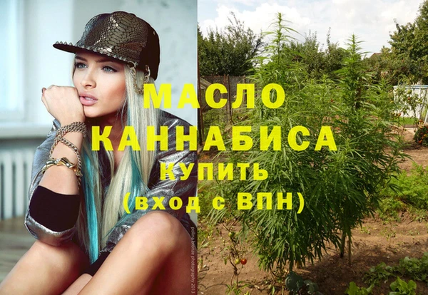 Альфа ПВП Бородино