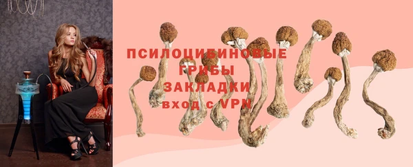2c-b Бугульма