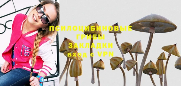 Альфа ПВП Бородино